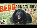 Vietnams moon bear sanctuary