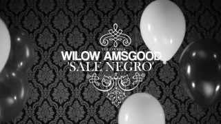 WILOW AMSGOOD - SALE NEGRO