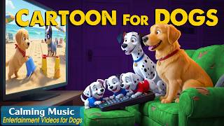 Dog Cartoon: Dog TV for Dogs to Watch Home Alone | Entertaining Videos & Anti-Anxiety Music for Dogs