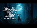 Deer Symbolism Decoded: Exploring the Enchanting Meanings | Buckling Down on Insights