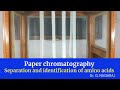 Paper chromatography separation and identification of amino acids