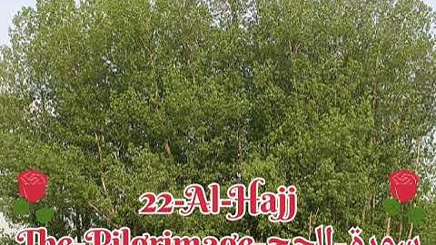 22-Al-Hajj-The-Pilgrimage-سورة-الحج