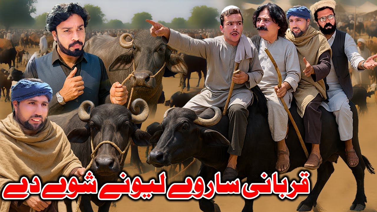 Qurbani Sarwe Lewani Shawe De New Comedy Video By Khyber Vine