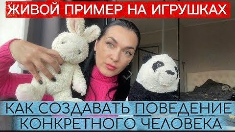 25 сентября 2025 г.