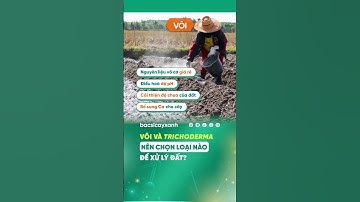 XỬ LÝ ĐẤT ĐẦU VỤ: TIẾT LỘ ĐIỂM KHÁC BIỆT GIỮA VÔI VÀ TRICHODERMA