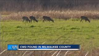 Chronic Wasting Disease found in Milwaukee County