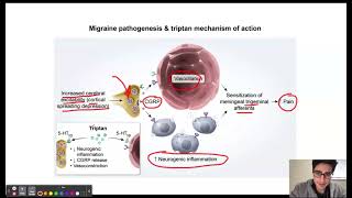 Migraine Pathogenesis & Triptan Mechanism of Action