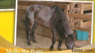 Tonic Minute with Daryn Kagan: 8/05/09