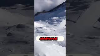 The Surprising Truth About Remote Avalanche Control Nobody Tells You