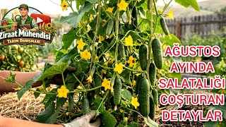 Ağustos Ayında Salatalıklara Bunları Uygula Kışa Kadar Verimin 2 Kat Artacak🥒Hıyarı Coşturan Detay
