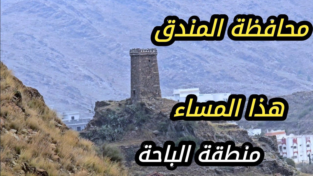 اجواء محافظة المندق الضبابية - الشتوية 8 رمضان 1446 درجة الحرارة 14 منطقة الباحة