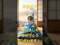 あけおめ🎉初夢みたかい?ハルが知りたがってます。first dream of the year