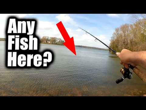 Bank Fishing in APRIL - What Kind Of Fish Can You Catch in Spring?