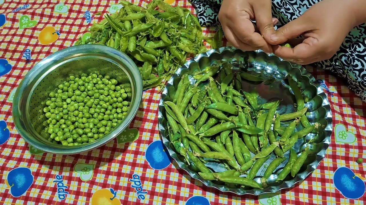 How to Shell Fresh Garden Peas Easily (English Peas Guide) 🌱