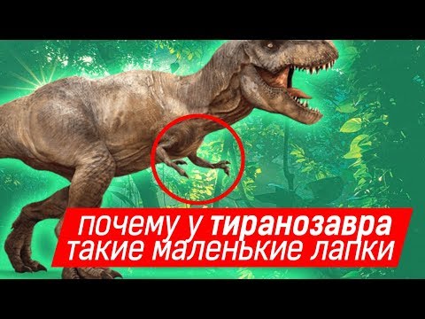 Почему у ТИРАНОЗАВРА такие маленькие лапы? | Умный Енот