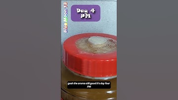 How To Brew Your Own Blue Moon Beer at Home