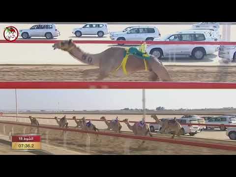 مهرجان جائزة زايد الكبرى ميدان الوثبة الإثنين 2022 11 28 الشوط 18 السلع لـ سعيد مطر الحديلي المنصوري