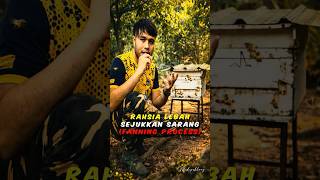 Cara Lebah Sejukkan Sarang (Fanning Process) #MaduPakLong #Lebah #Madu #Bee