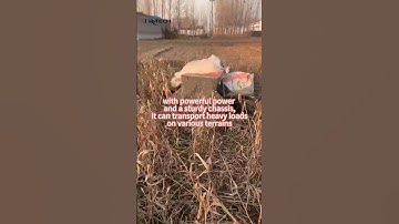 Unleashing the Future: Next-Gen Unmanned Ground Vehicle in Action #UGV