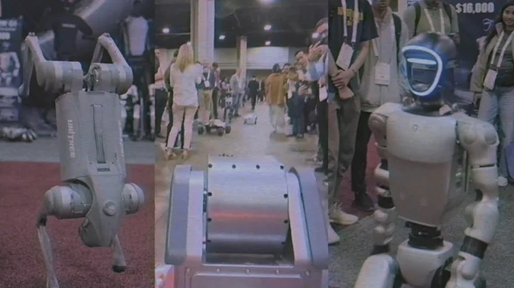 Meet the Robots of ICRA 2025