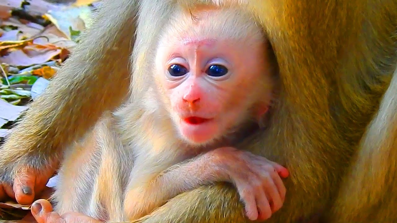 Finally young mother Lila gave birth her baby he is so adorable, Congrats Lila for your first child!