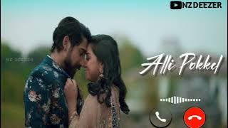Alli pokkel bgm flute |Stephen zechariah melody|Naam ringtone
