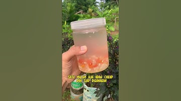 PESTISIDA ORGANIC CUMA Rp.1000 #cabeorganik #pestisidaorganik