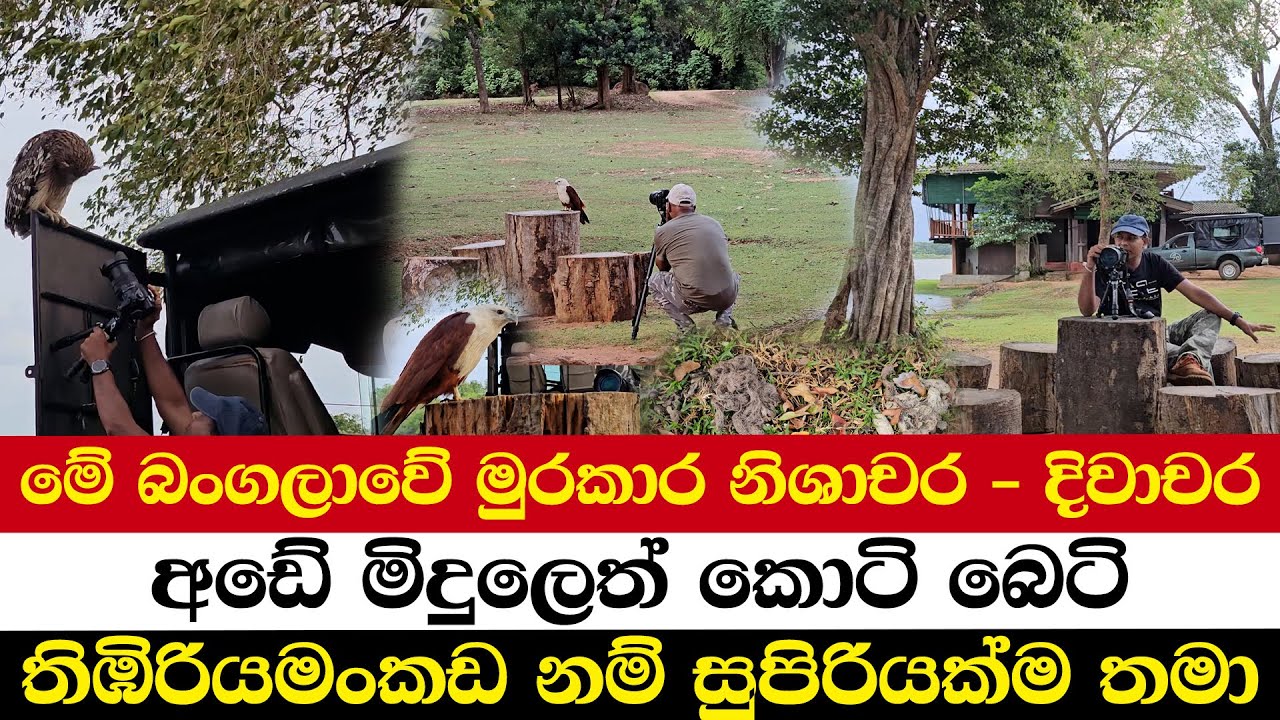මේ බංගලාවේ මුරකාර නිශාචර - දිවාචර | අඩේ මිදුලෙත් කොටි බෙටි | තිඹිරියමංකඩ නම් සුපිරියක්ම තමා