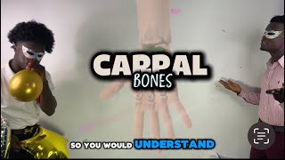 Anatomy Class - Carpal Bones Explained