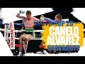 Top 20 Canelo Alvarez Knockouts | OBSESSED