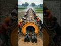 horse rescue from giant log | white python #shorts #animals #humanity #horsevideo