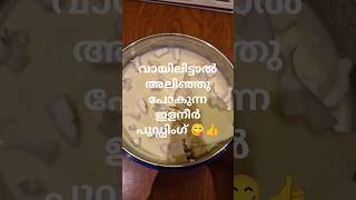 വായിലിട്ടാൽ അലിഞ്ഞു പോകുന്ന tasty pudding #easy#Tender coconut pudding #jelly #ilaneer pudding #Food