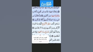 سورة يس الاية 34-35 فارس عباد