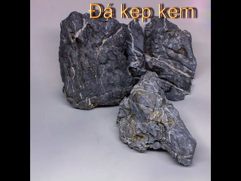 Video Bể cá cảnh Đá Kẹp Kem và Lũa (VietSub) - youtube