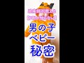 【９割が知らない】男の子ベビーの秘密