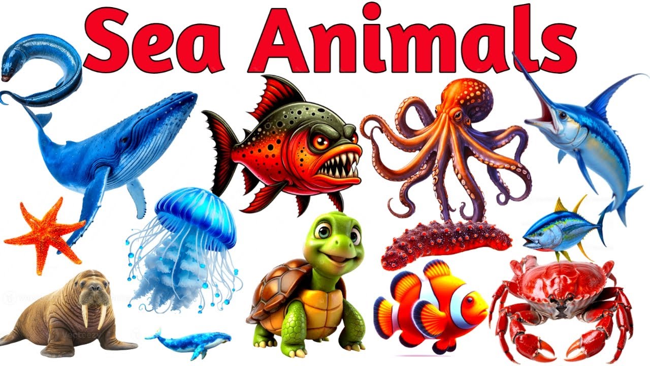 Sea Animals Name for Kids | Sea Animal Names in English & Bengali | Kids Learning