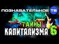 Тайны капитализма 6 (Познавательное ТВ, Валентин Катасонов)