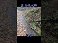 溜池から水を引く #農業＃用水路＃掃除