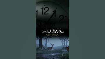سورة الزمر الأية 53 #القرآن_الكريم #سعود_الشريم #❤️