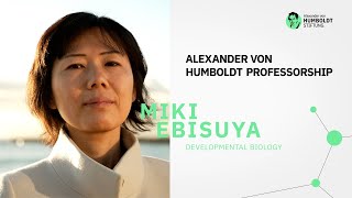 How does the biological clock tick | Miki Ebisuya is a Humboldt Professor