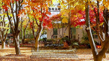 إن الله وملائكته يصلون على النبي  غسان الشوربجي حالات واتس قران كريم