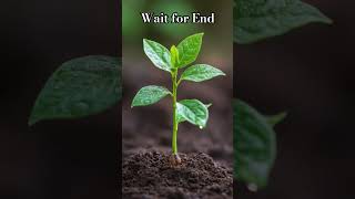 The Great Awakening: From Dormant Seed toLiving Plant🌿💚#natuteasmr#wildlife#plantparent#naturelovers