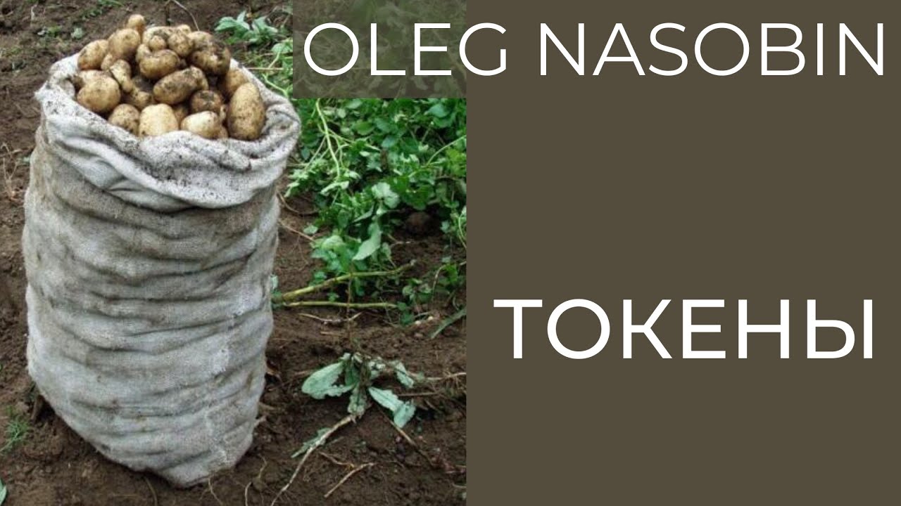 Сологененик декс нфт Сологененик декс нфт