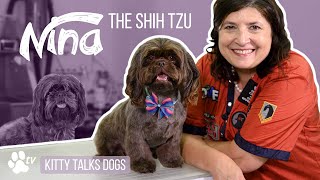 Grooming Nina the Shih Tzu | Kitty Talks Dogs  TRANSGROOM