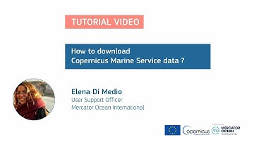 Tutorial - How to download Copernicus Marine Service data