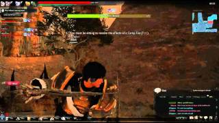 Vindictus: Camera glitched, we all died.