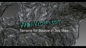 Wall Worm Displacements 2013