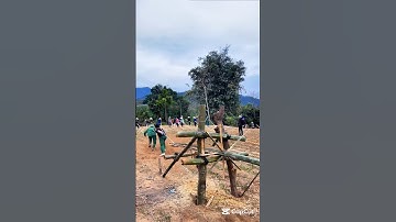 The Most Distinctive Bamboo Splitting Techniques #woodworking #unique