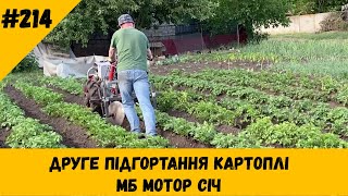 Друге підгортання картоплі МБ Мотор Січ