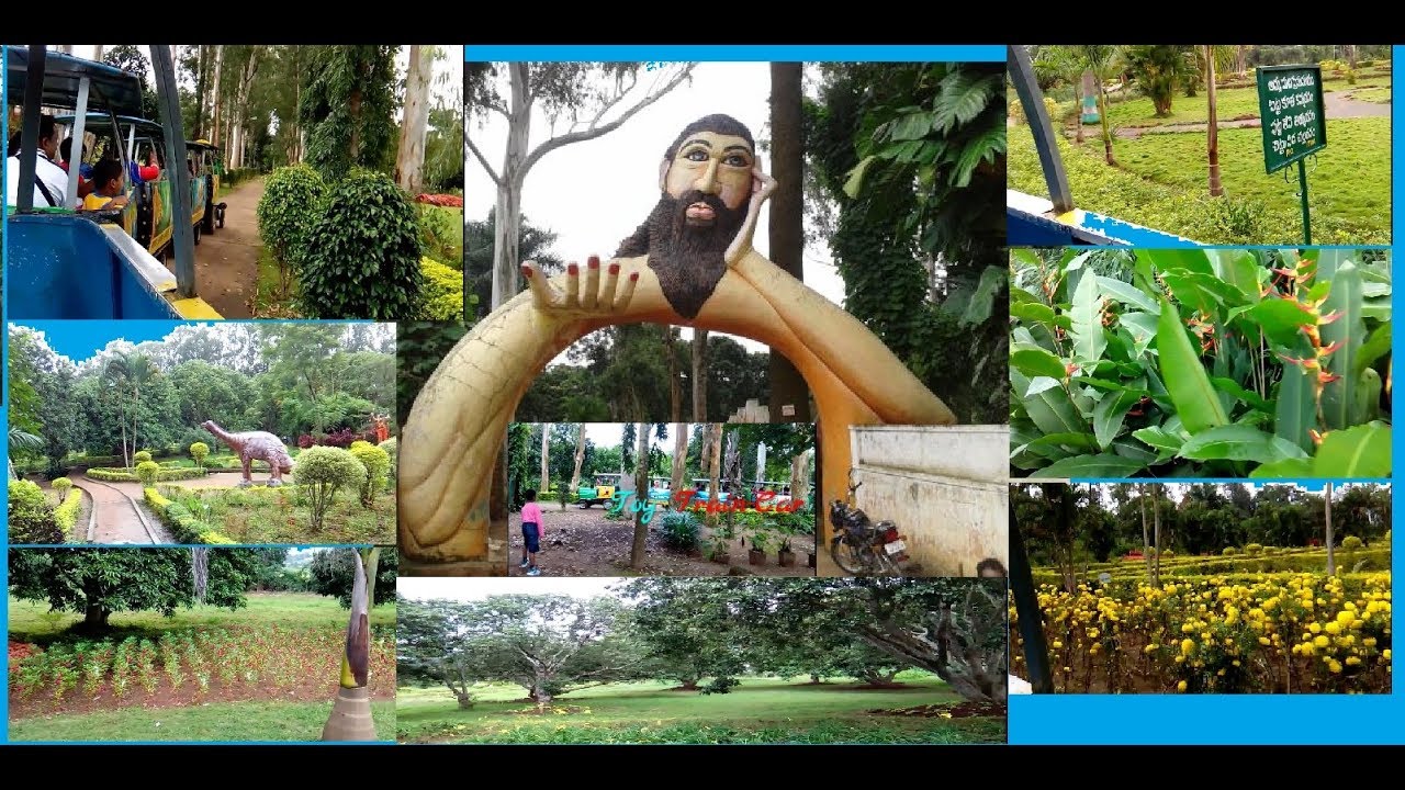 Padmapuram Botanical Garden in Araku Valley, VIZAG YouTube